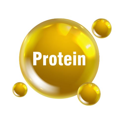 Health-Protein